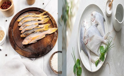 Dim Topse + White Pomfret Combo