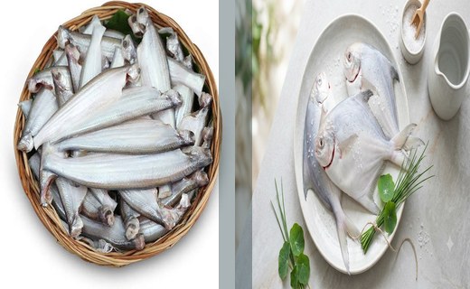 Kajoli + White Pomfret Combo