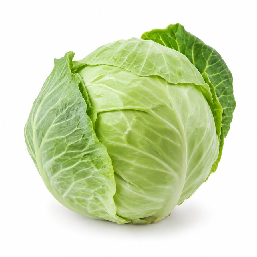Cabbage