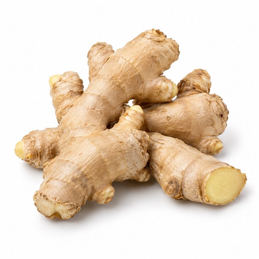 Ginger (Ada)